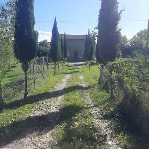 Affittacamere Olivieri Italia